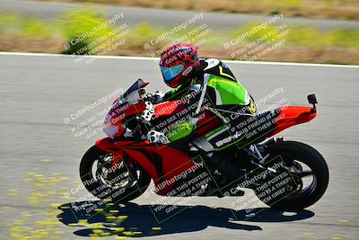 media/May-10-2024-2WTD (Fri) [[c88d7990af]]/Group C/Session 2-The Bowl/